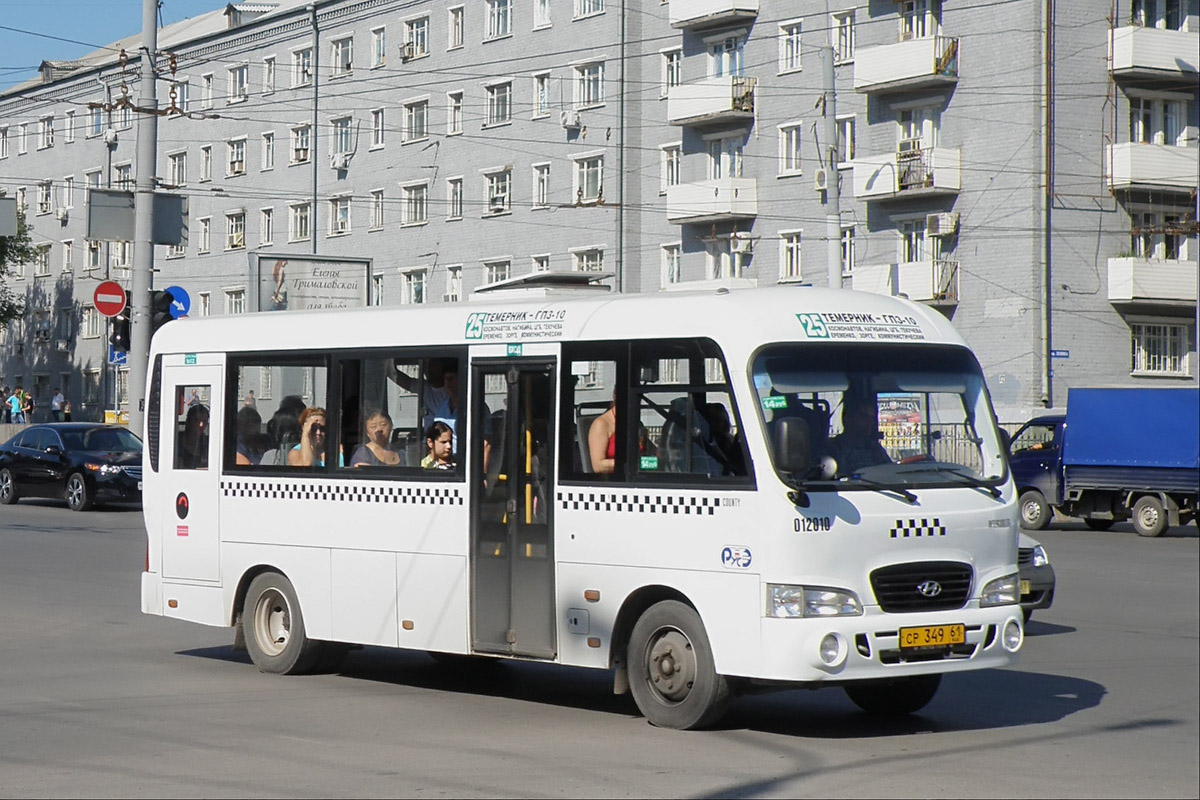 Ростовская область, Hyundai County LWB C09 (ТагАЗ) № 012010