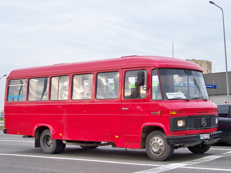 Литва, Mercedes-Benz O309D № 262