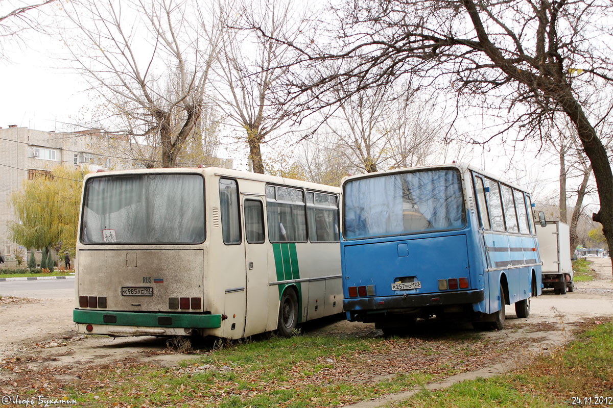 Краснодарский край, Ikarus 211.51 № К 257 ЕО 123 — Фото — Автобусный  транспорт