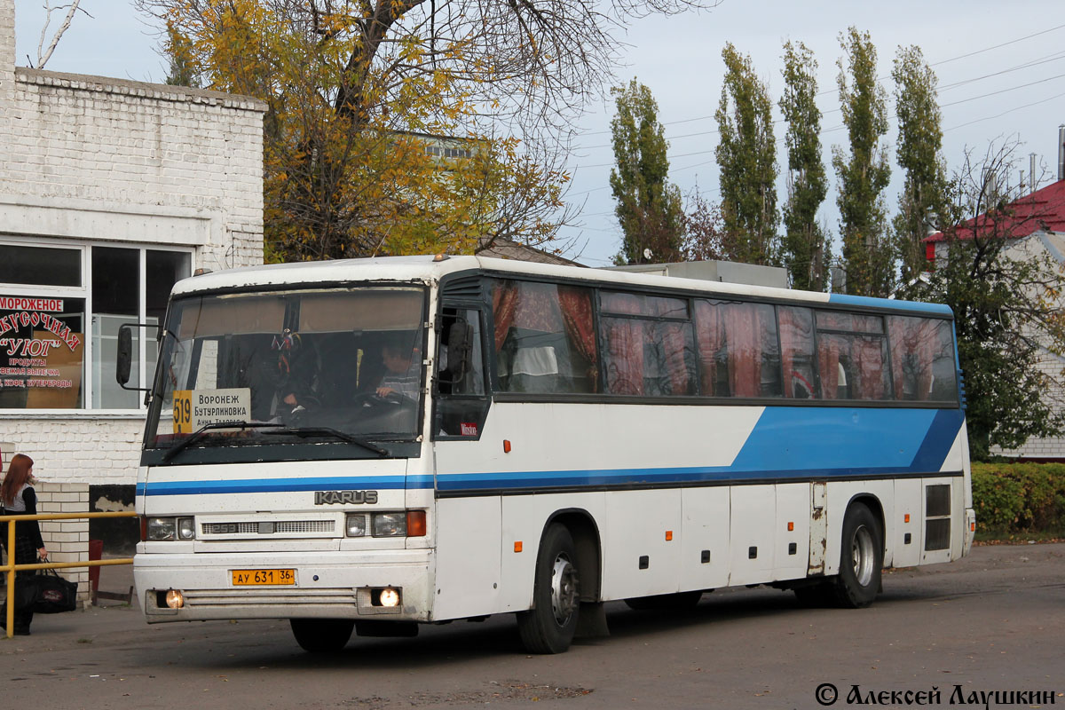 Воронежская область, Ikarus 253.52 № АУ 631 36