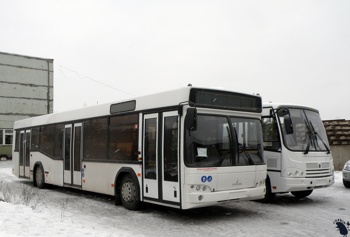 Нижегородская область, МАЗ-103.465 № 005; Нижегородская область — Новые автобусы