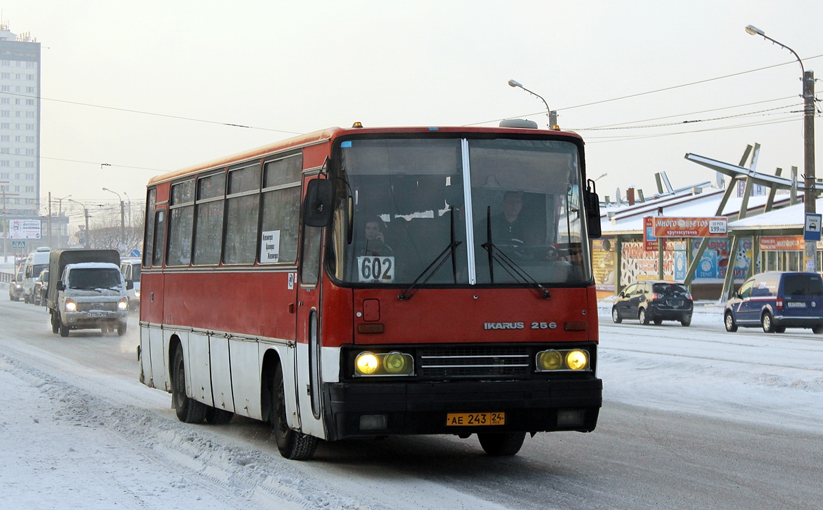 Красноярский край, Ikarus 256.74 № АЕ 243 24