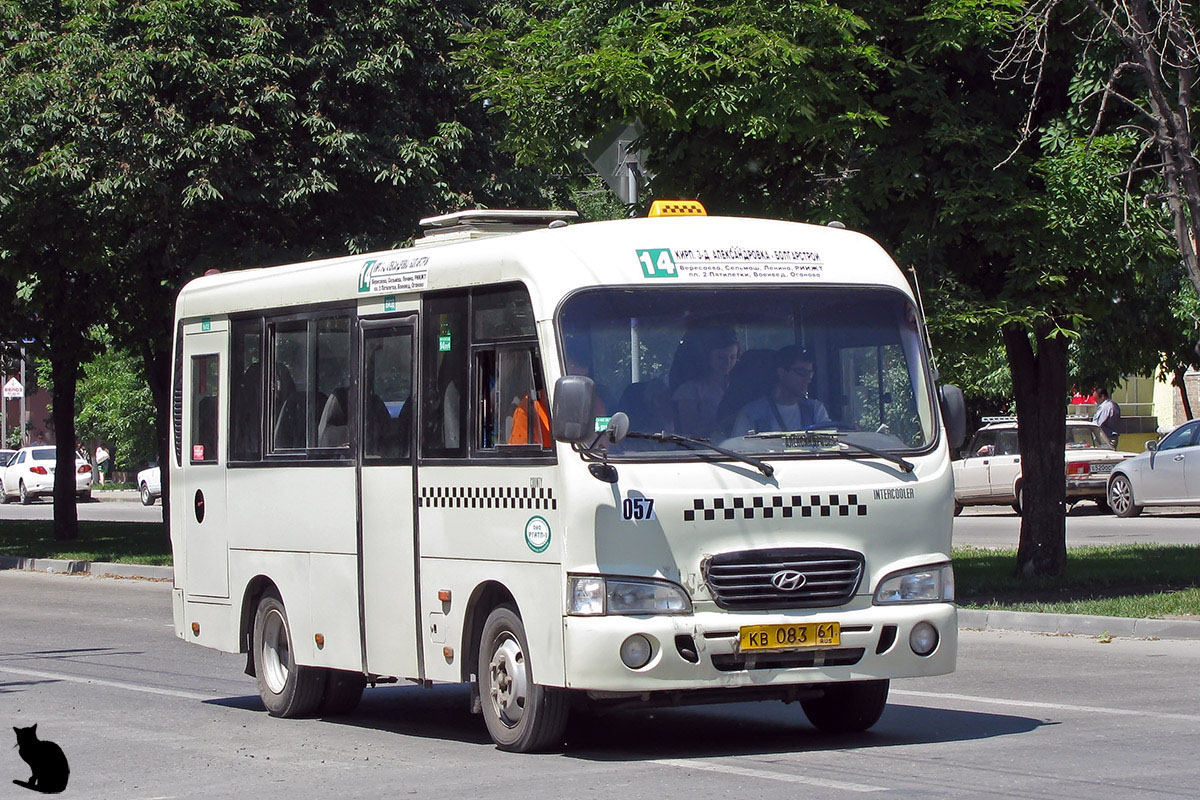 Ростовская область, Hyundai County SWB C08 (РЗГА) № 057