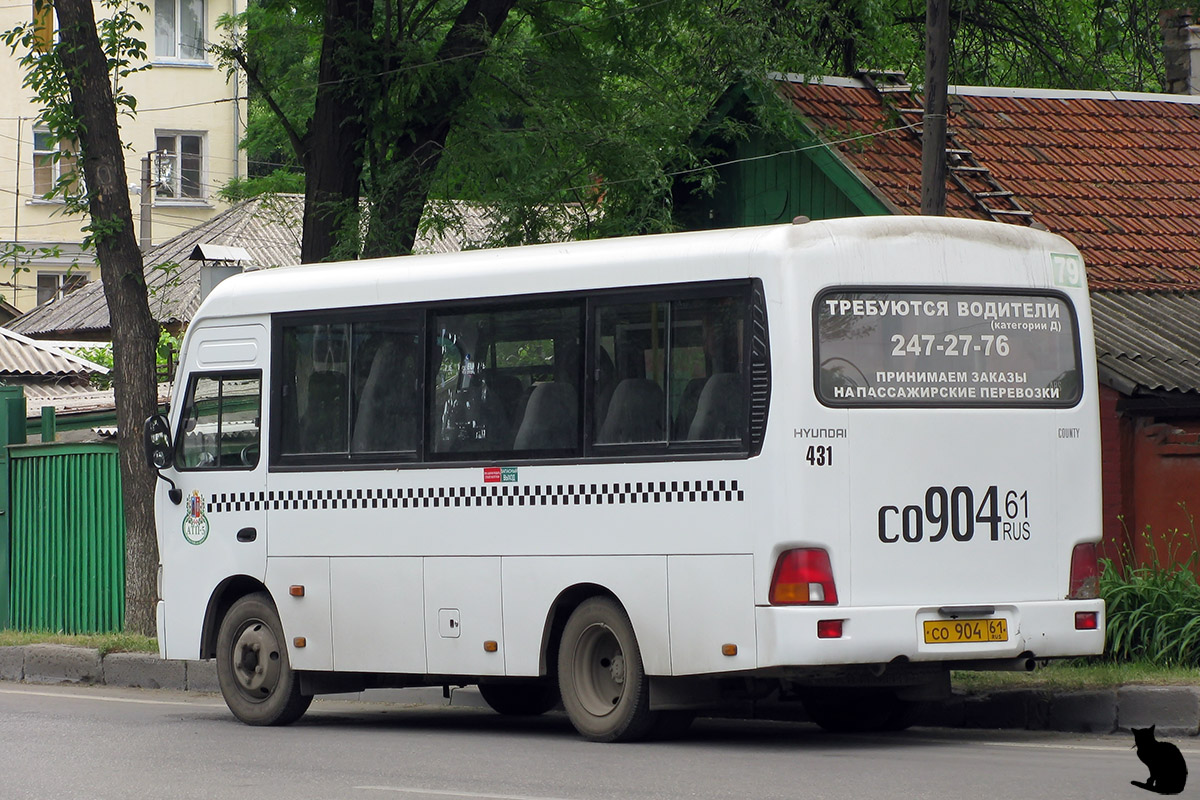 Ростовская область, Hyundai County SWB C08 (РЗГА) № 431