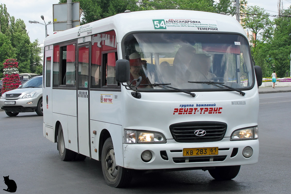 Rostov region, Hyundai County SWB C08 (RZGA) # 009108