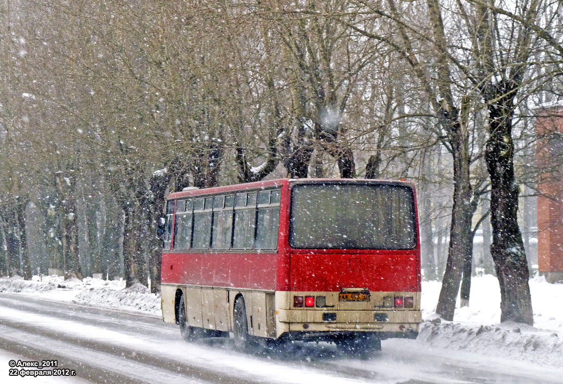 Ленинградская область, Ikarus 256.74 № АВ 493 47