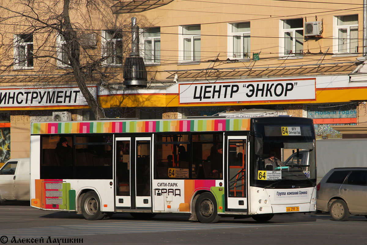 Воронежская область, МАЗ-206.060 № ВВ 299 36