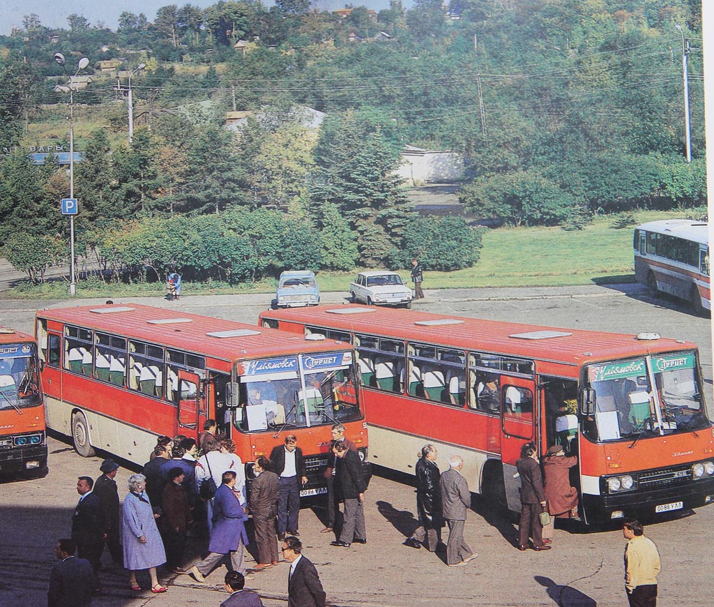 Ульяновская область, Ikarus 256 № 0086 УЛЛ; Ульяновская область, Ikarus 256.54 № 8