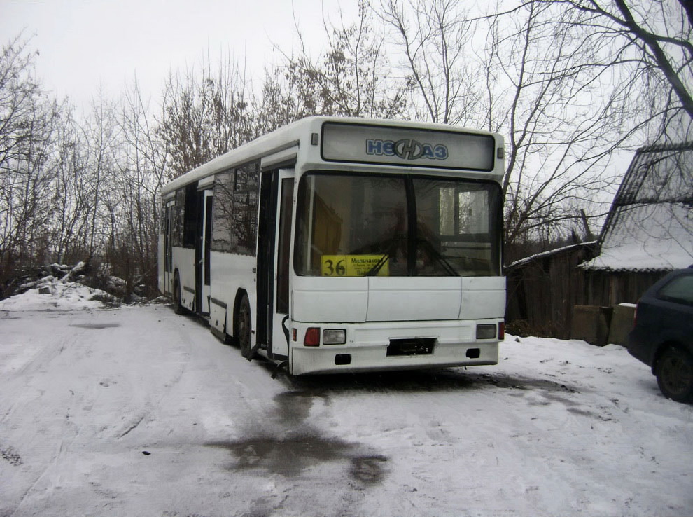 Пермский край, НефАЗ-5299 № Т 609 ХУ 59; Пермский край — Автобусы без номеров