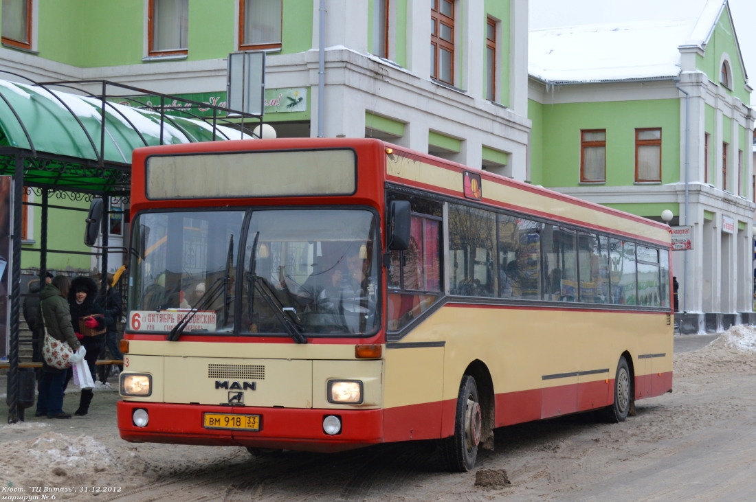 Автобусы муром 24. Автобусы Муром вм808. Автобусы Муром вм807. Автобусы Мурома вм839. Автобус ВМ.