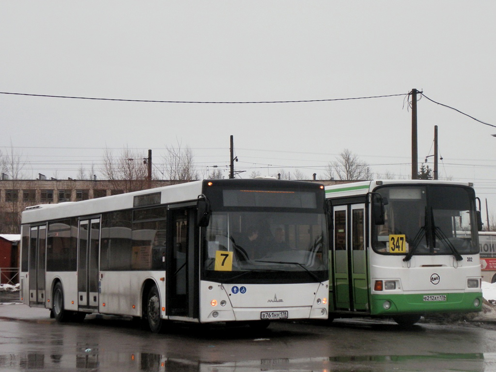 Санкт-Петербург, МАЗ-203.067 № 113