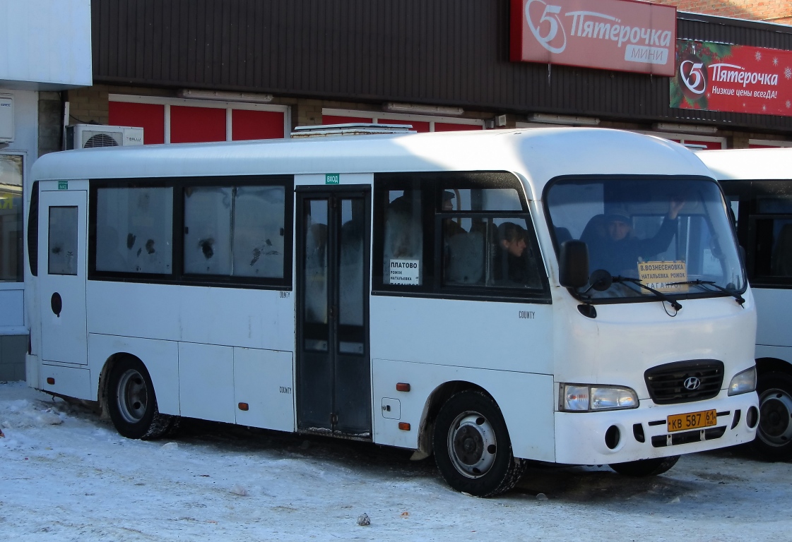 Ростовская область, Hyundai County LWB C10 (ТагАЗ) № 53