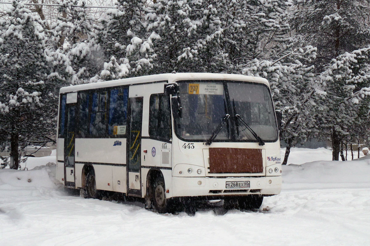 Псковская область, ПАЗ-320402-05 № 443