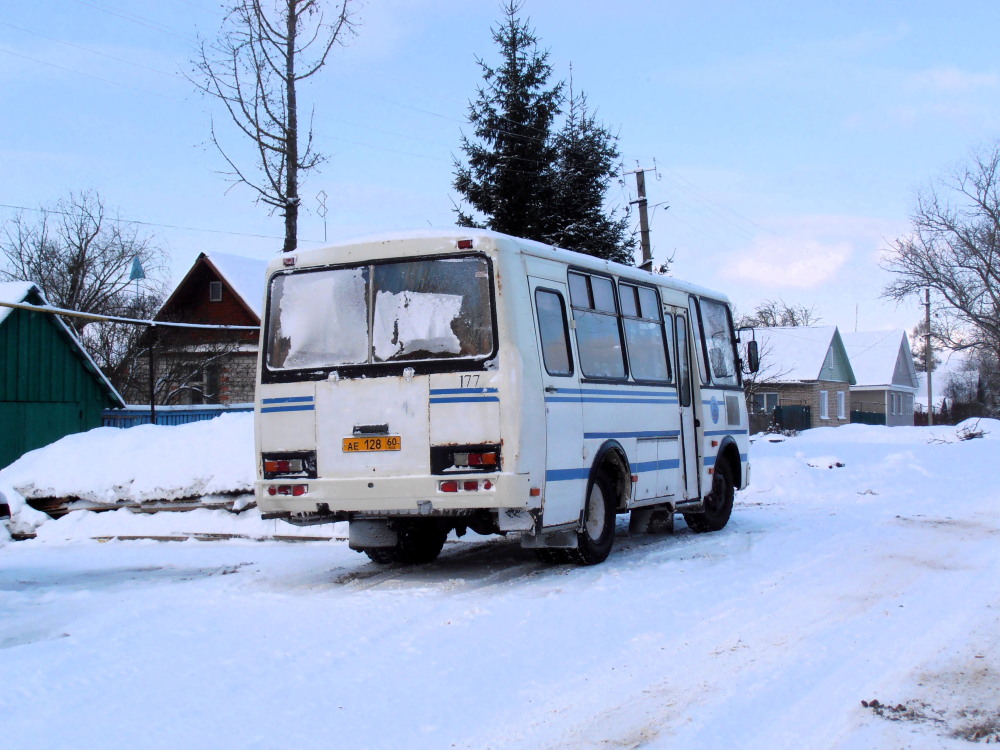 Псковская область, ПАЗ-32053 № 177