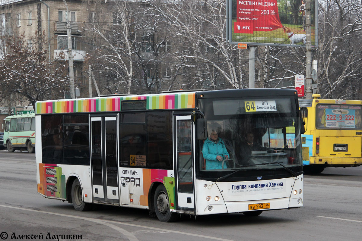 Воронежская область, МАЗ-206.060 № ВВ 283 36