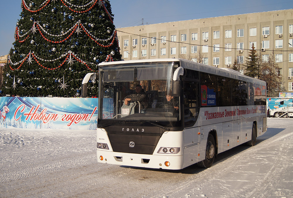 Kemerovo region - Kuzbass, GolAZ-525110-10 "Voyage" č. 39