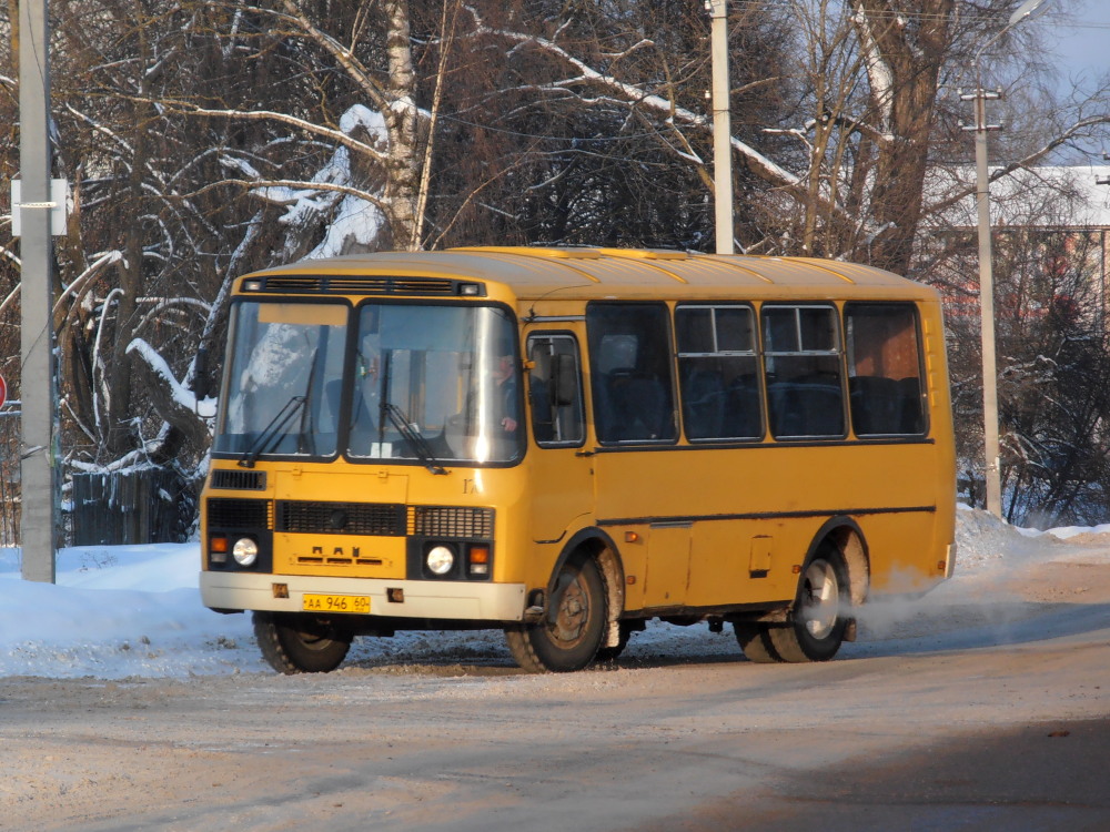 Псковская область, ПАЗ-32053 № 176