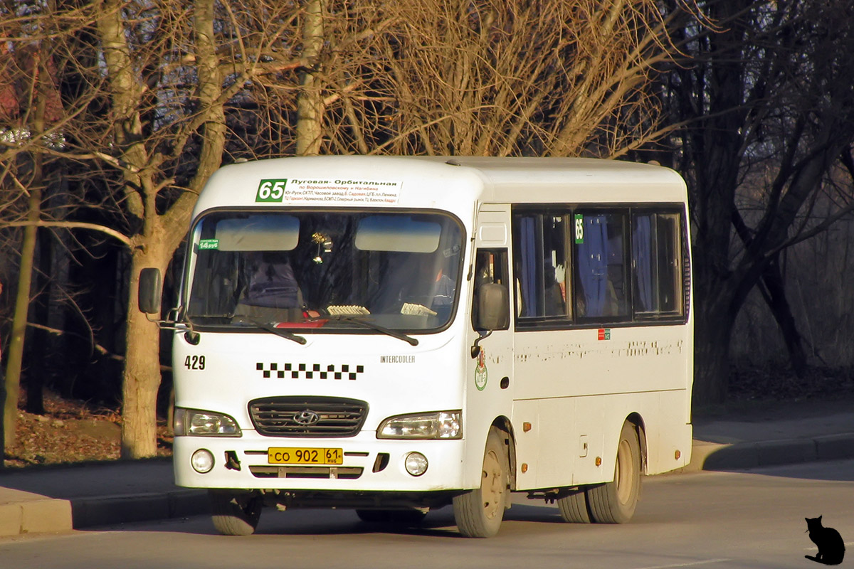 Ростовская область, Hyundai County SWB C08 (РЗГА) № 429