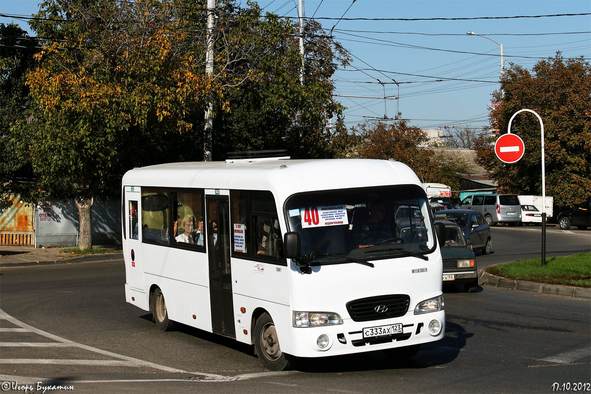 Краснодарский край, Hyundai County LWB C09 (ТагАЗ) № С 333 АХ 123