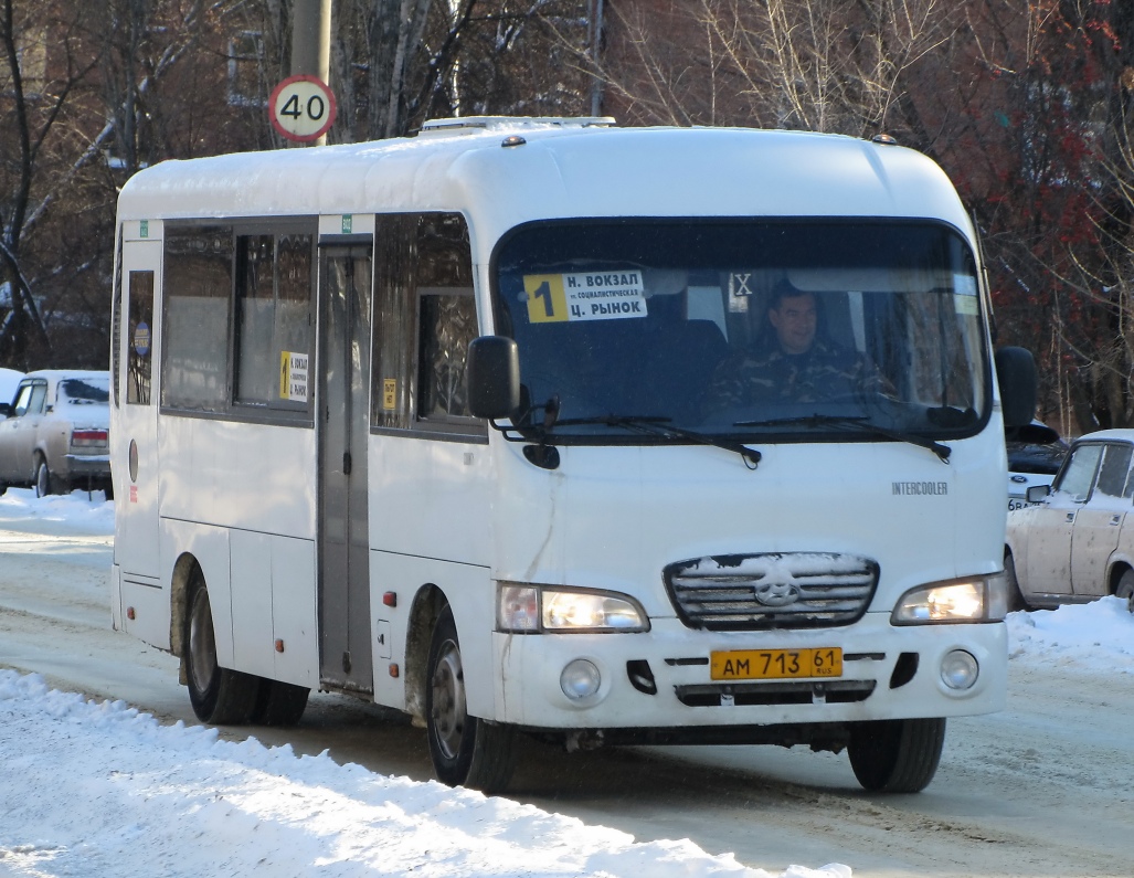 Ростовская область, Hyundai County LWB C11 (ТагАЗ) № АМ 713 61