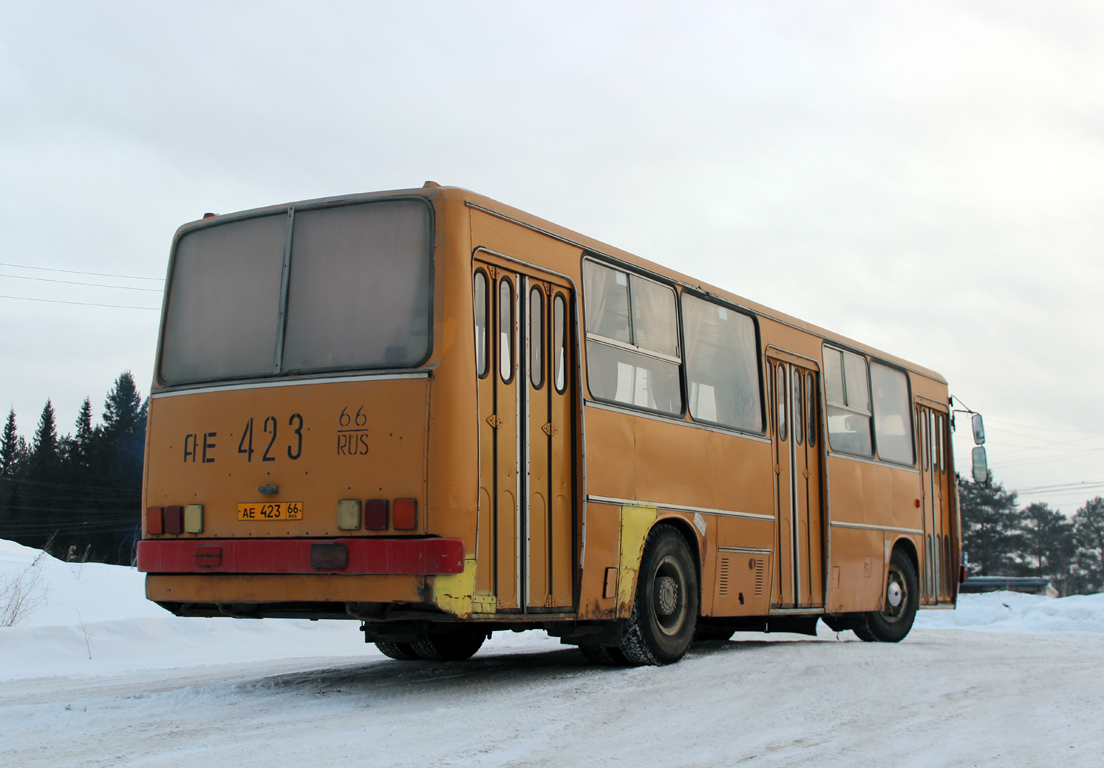 Свердловская область, Ikarus 260.50 № АЕ 423 66