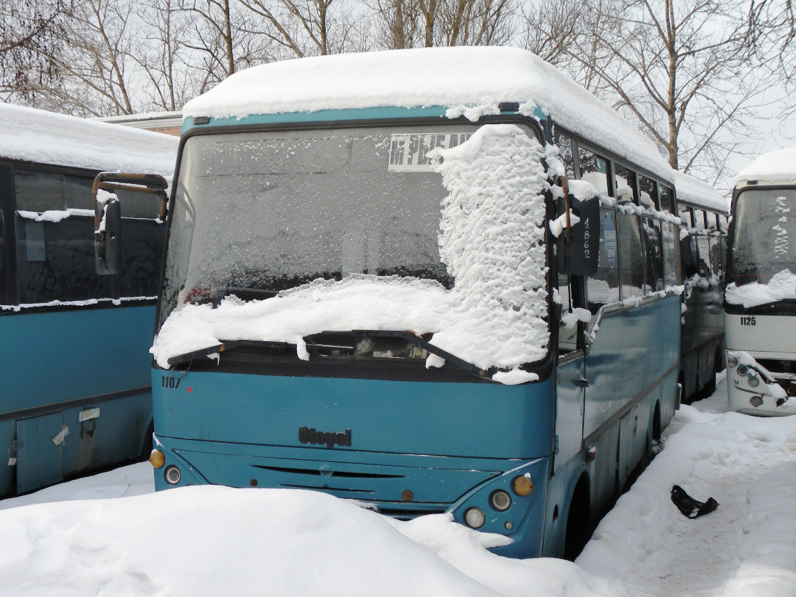 Санкт-Петербург, Otoyol M29 City № 1107