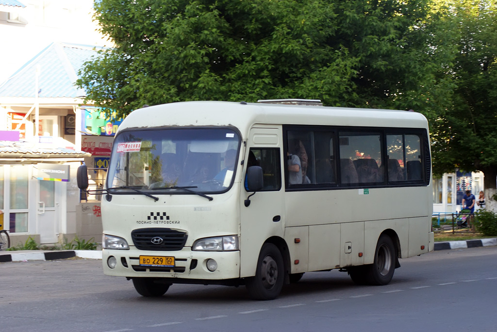 Московская область, Hyundai County SWB C08 (РЗГА) № ВО 229 50