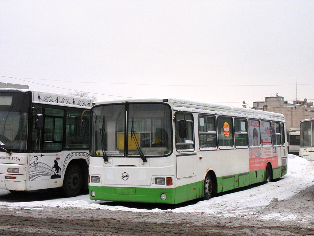 Санкт-Петербург, ЛиАЗ-5256.25 № n031