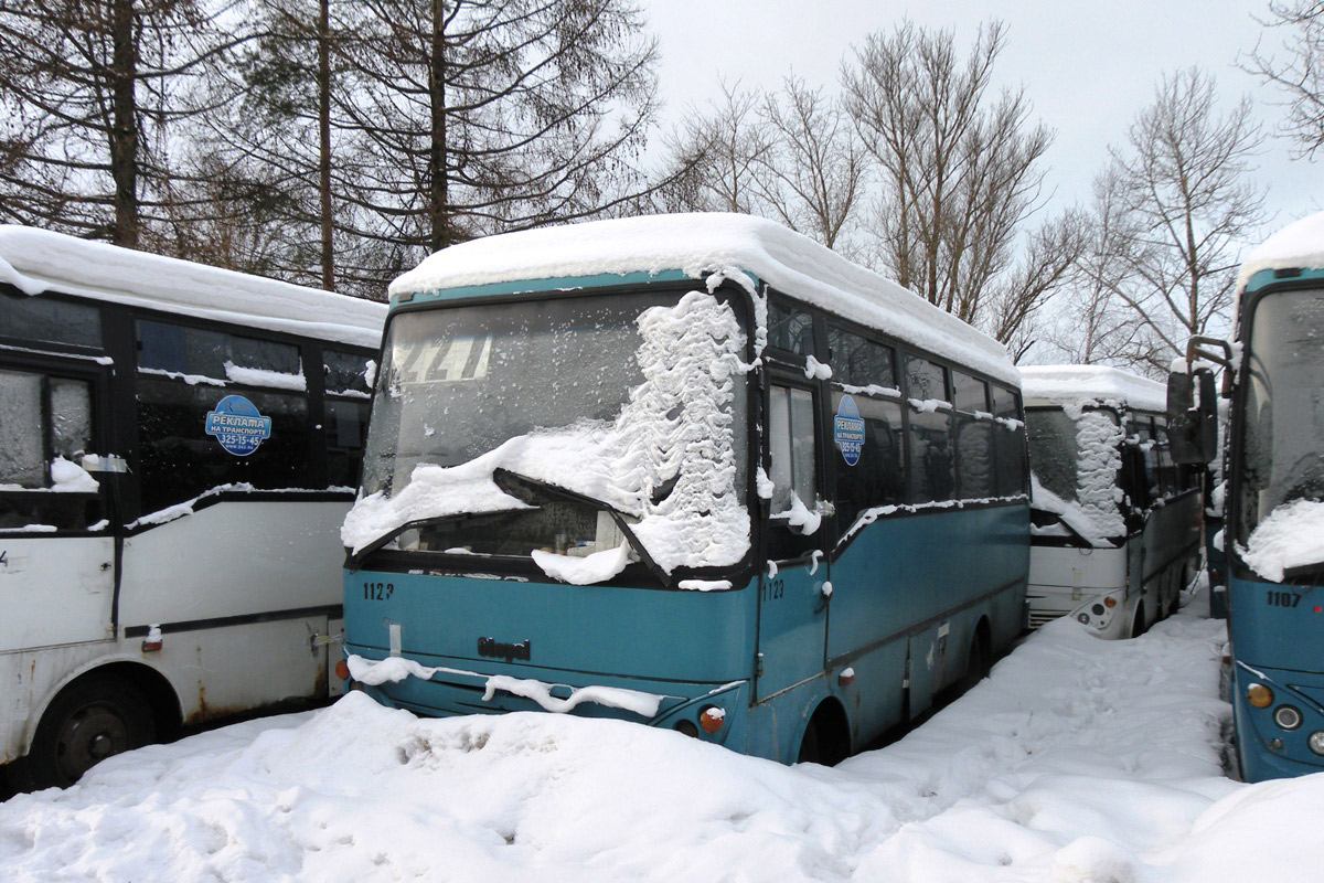 Санкт-Петербург, Otoyol M29 City № 1123