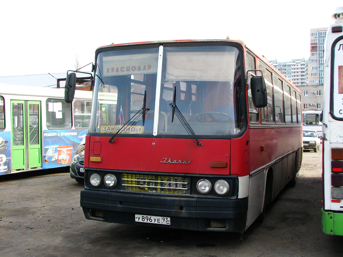 Краснодарский край, Ikarus 256.75 № У 896 УЕ 93