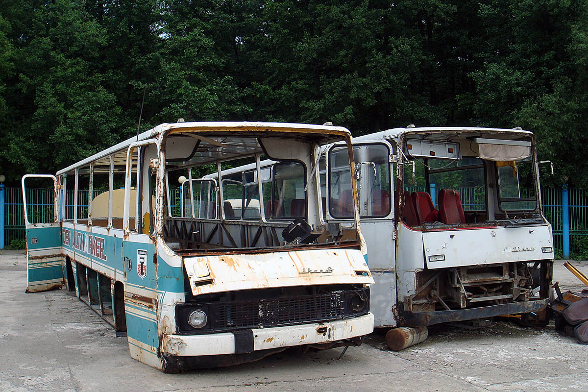 Obwód biełgorodzki — Buses number free