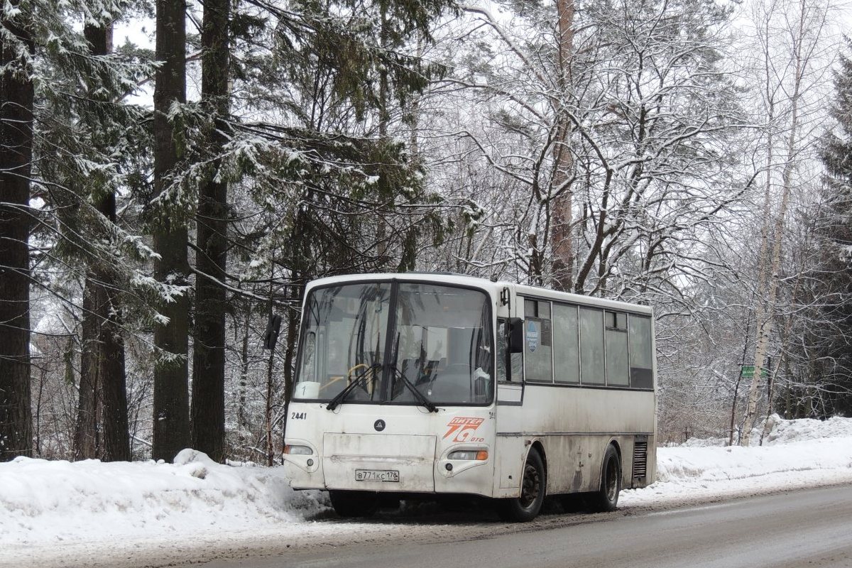 Ленинградская область, КАвЗ-4235-03 № 2441