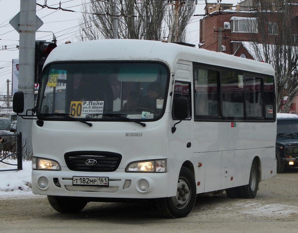 Ростовская область, Hyundai County LWB C11 (ТагАЗ) № Т 182 МР 161
