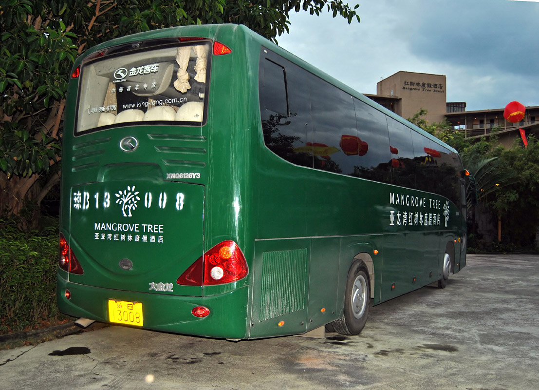Китай, King Long XMQ6126Y3 № 琼B 13008
