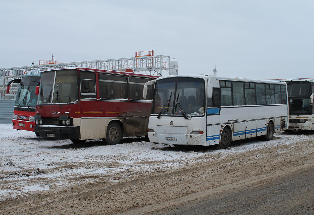 Нижегородская область, КАвЗ-4238-01 № К 646 АС 152