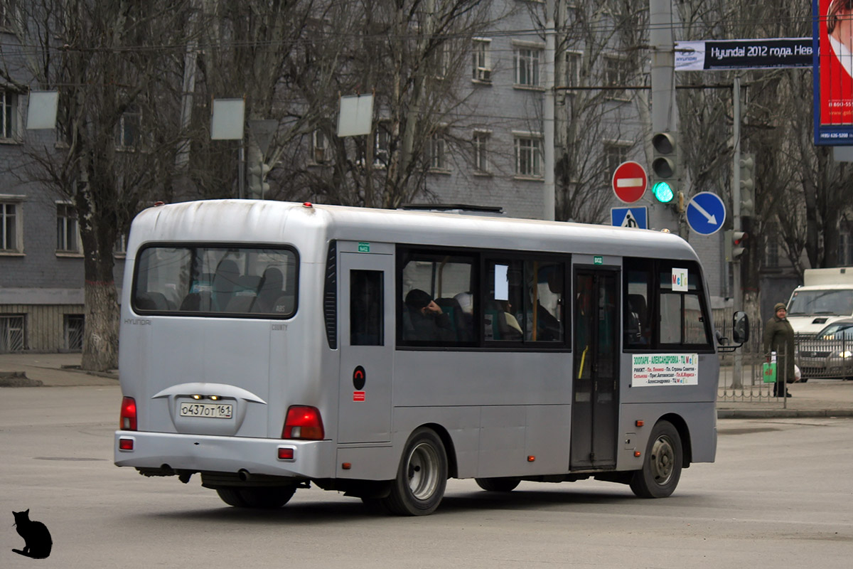 Ростовская область, Hyundai County LWB C11 (ТагАЗ) № 018