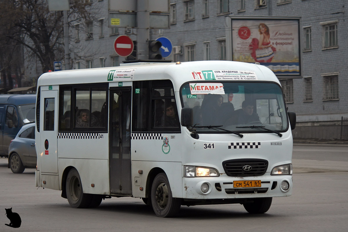 Ростовская область, Hyundai County SWB C08 (ТагАЗ) № 341