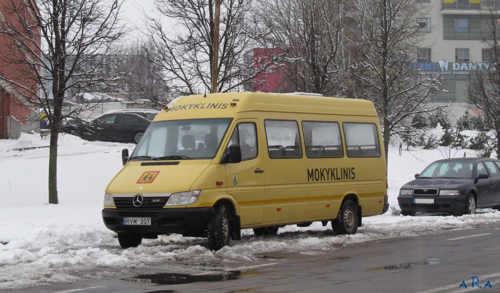 Литва, Žaibas № RVM 307