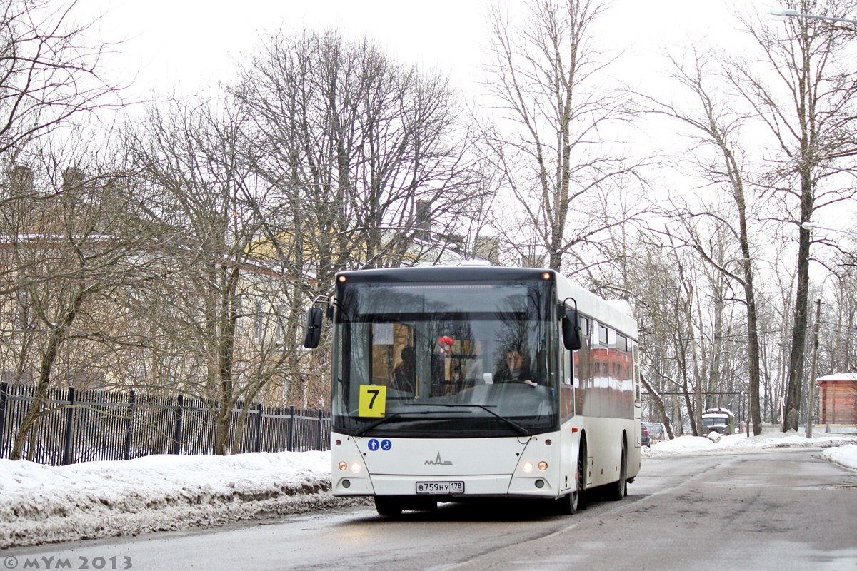 Санкт-Петербург, МАЗ-203.067 № 111