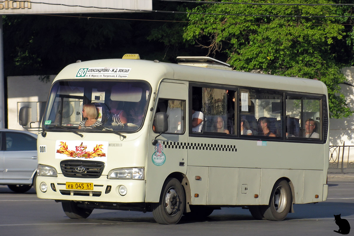 Ростовская область, Hyundai County SWB C08 (РЗГА) № 001