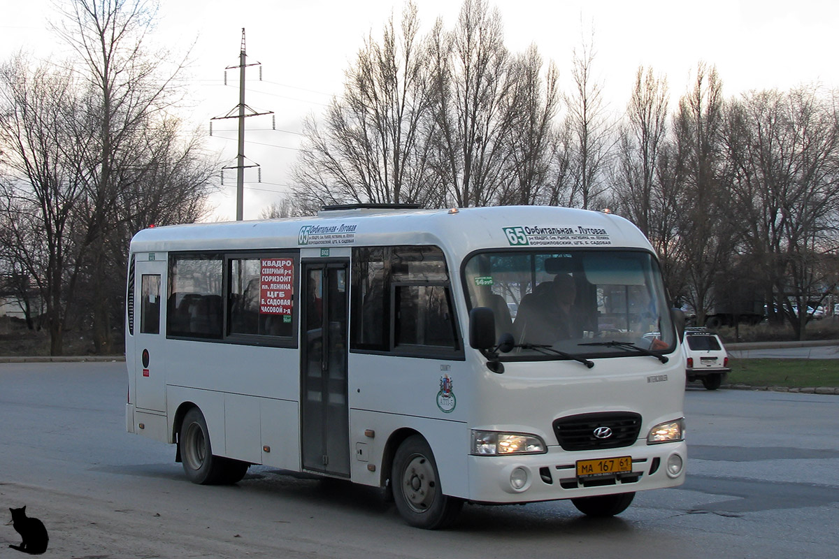 Ростовская область, Hyundai County LWB C11 (ТагАЗ) № 016