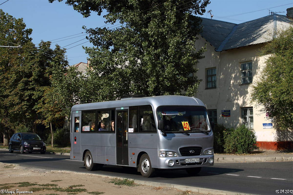 Краснодарский край, Hyundai County LWB C11 (ТагАЗ) № В 230 ВЕ 123