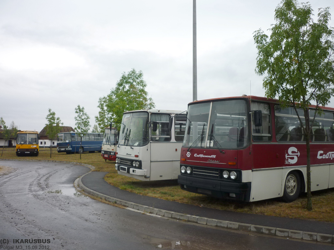 Венгрия, Ikarus 280 (Borsod Volán) № JOB-713; Венгрия, Ikarus 280.49 № 52-68; Чехия, Ikarus 256.55A № 2S8 3000; Венгрия, Ikarus 255.70 № (BPS-078); Венгрия, Ikarus 256.54 № LPZ-190; Венгрия — V. Nemzetközi Ikarus, Csepel és Veteránjármű Találkozó, Polgár (2012)