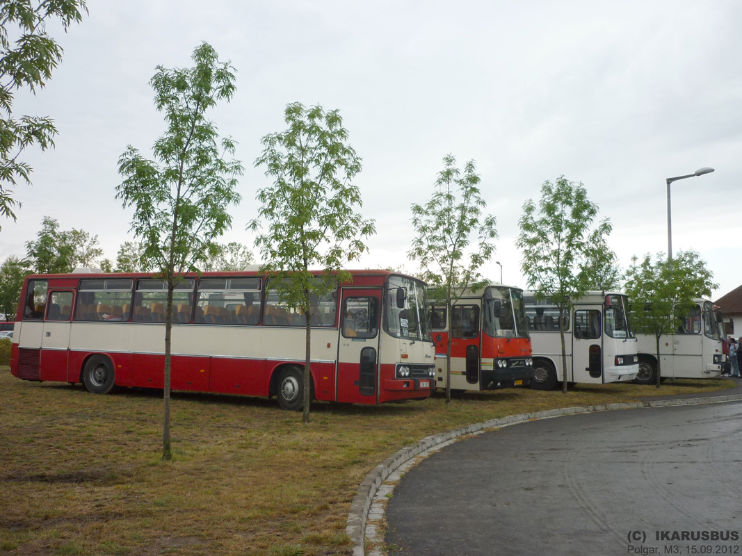 Чехия, Ikarus 256.55A № 2S8 3000; Венгрия, Ikarus 256.50VL № FKF-474; Венгрия, Ikarus 256.50E № EZZ-574; Венгрия, Ikarus 255.70 № (BPS-078); Венгрия — V. Nemzetközi Ikarus, Csepel és Veteránjármű Találkozó, Polgár (2012)