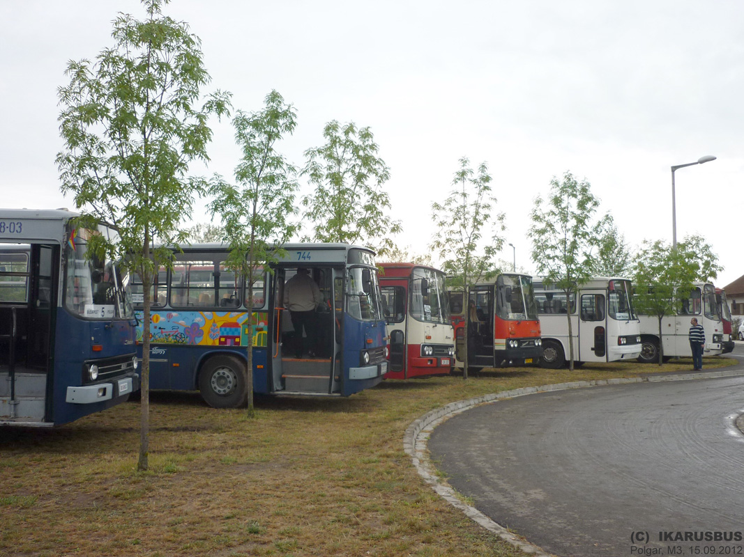 Węgry, Ikarus 280.49 Nr 58-03; Węgry, Ikarus 263.30M Nr HFY-744; Czechy, Ikarus 256.55A Nr 2S8 3000; Węgry, Ikarus 256.50VL Nr FKF-474; Węgry, Ikarus 256.50E Nr EZZ-574; Węgry, Ikarus 255.70 Nr (BPS-078); Węgry — V. Nemzetközi Ikarus, Csepel és Veteránjármű Találkozó, Polgár (2012)