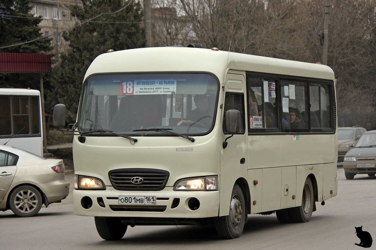 Ростовская область, Hyundai County SWB C08 (РЗГА) № О 801 МВ 161