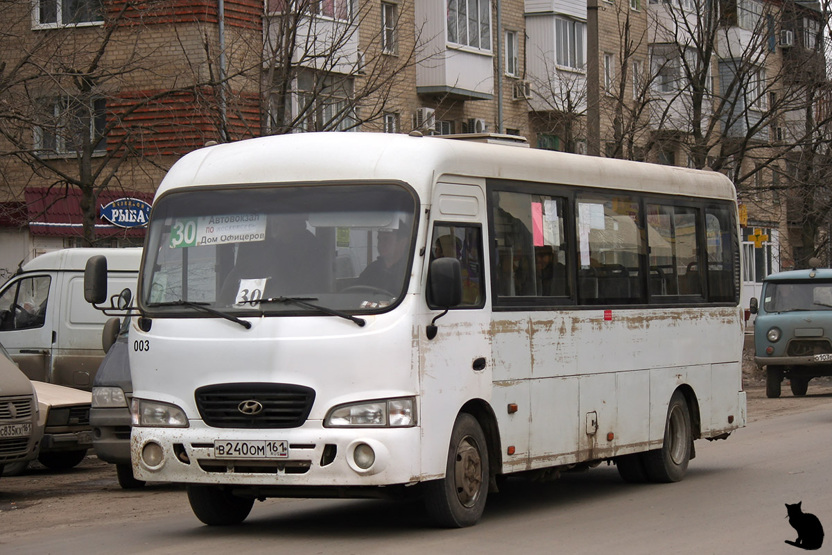 Ростовская область, Hyundai County LWB (ТагАЗ) № 003