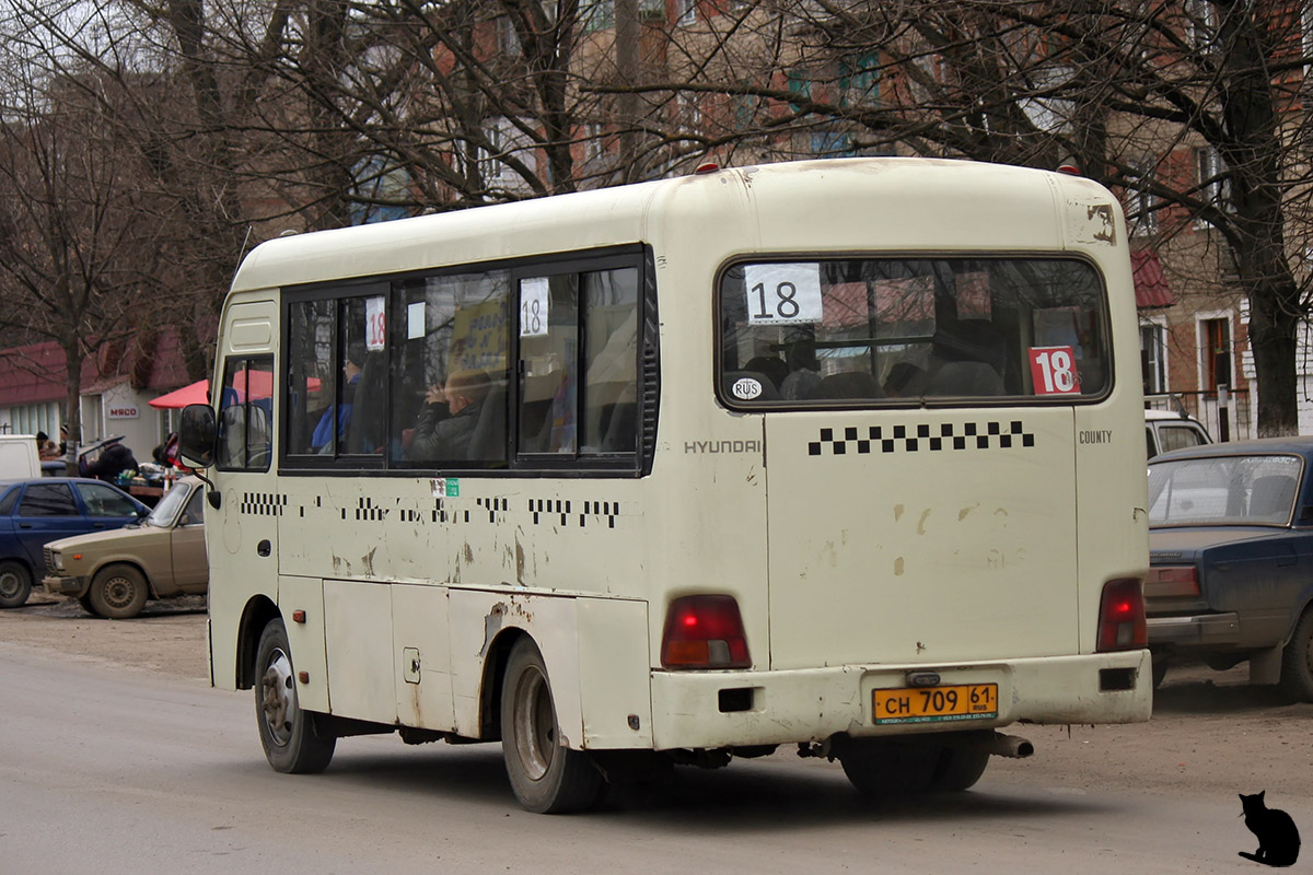 Ростовская область, Hyundai County SWB C08 (РЗГА) № СН 709 61