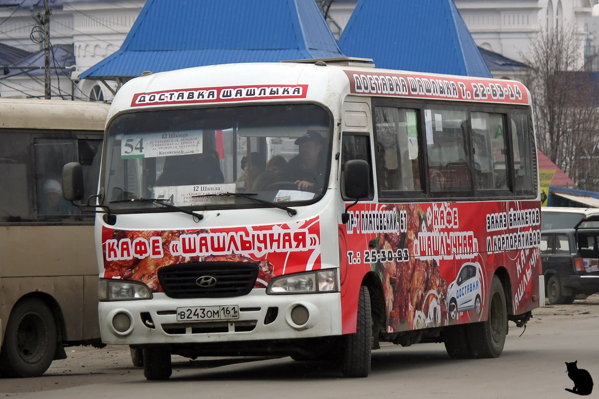 Ростовская область, Hyundai County LWB C09 (ТагАЗ) № 001