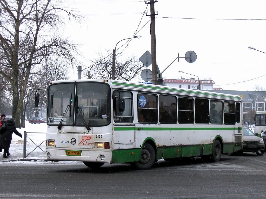 Санкт-Петербург, ЛиАЗ-5256.26 № 7175